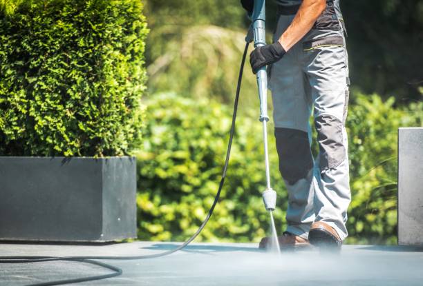 Best Roof Washing  in Brookridge, FL